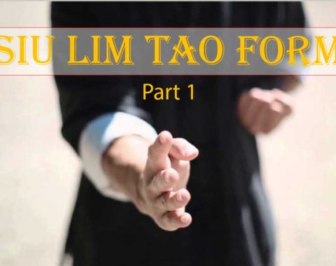 Siu Lim Tao Form 1