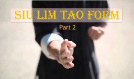 Siu-Lim-Tao-Form-2