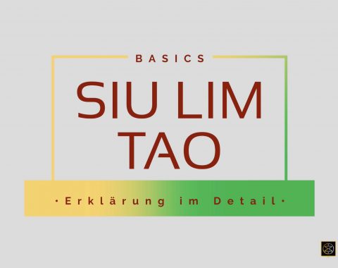 Siu Lim Tao Form – Komplette Live Erklärung